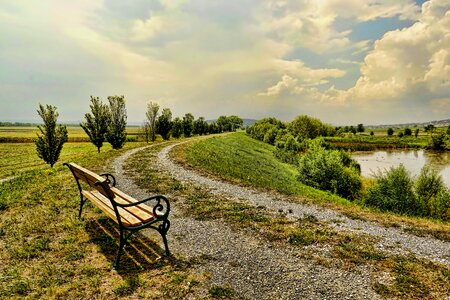 Pond park bench sky