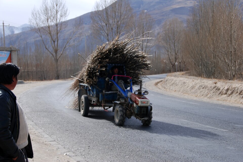 Tibet wood transporter