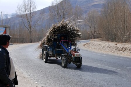 Tibet wood transporter