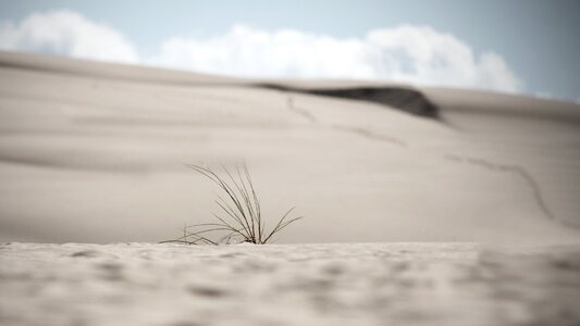 Summer sand dry photo