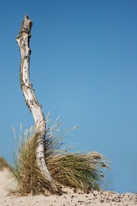 Sand coast beach photo