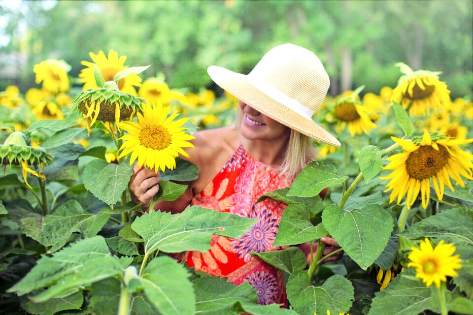 Yellow summer blossoms