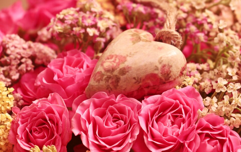 Romantic pink flower