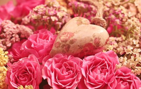 Romantic pink flower