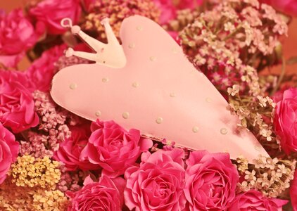 Romantic pink flower photo