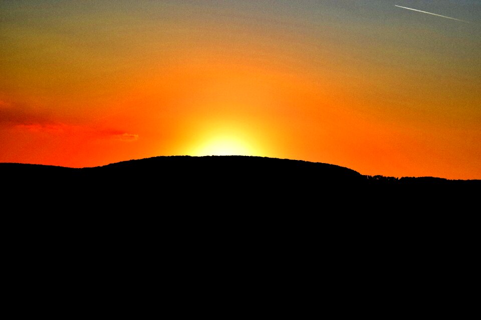 Summer romantic orange