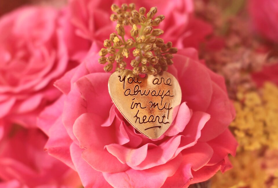 Saying romantic pink