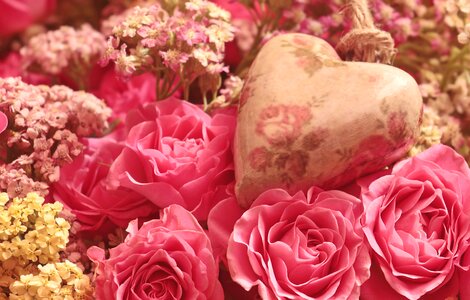 Romantic pink flower photo