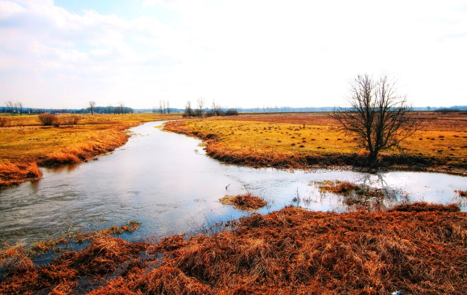 Water nature brook photo