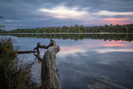 Landscape nature netherlands