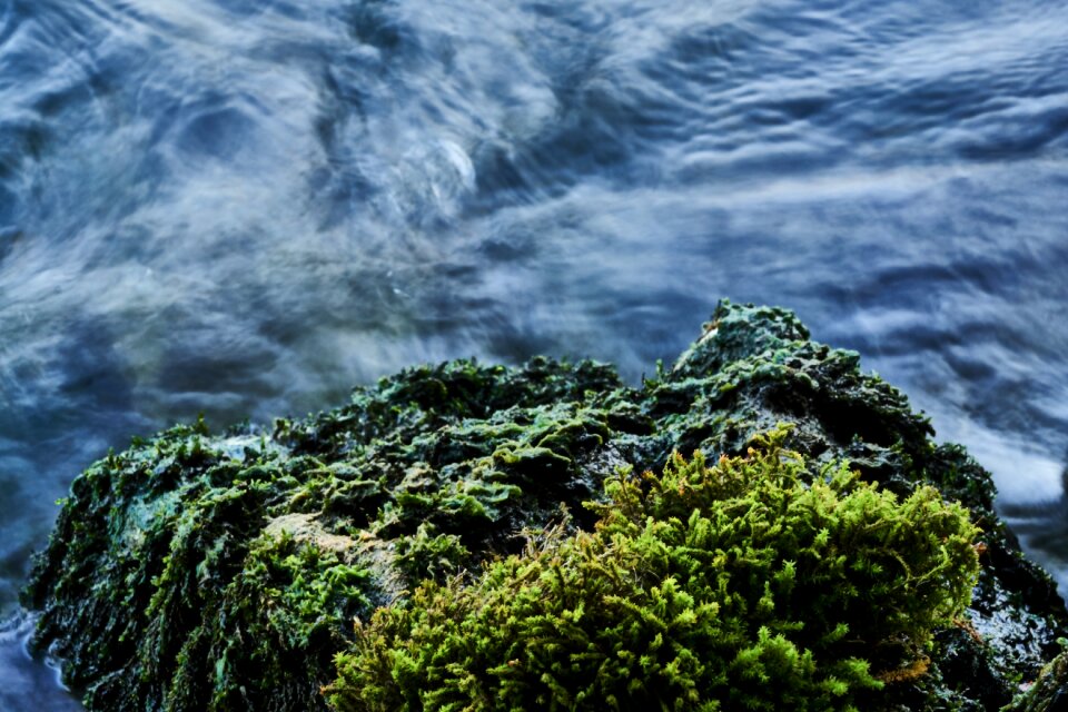 River moss stone