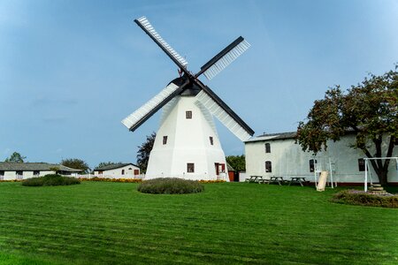 Tree meadow tower windmill