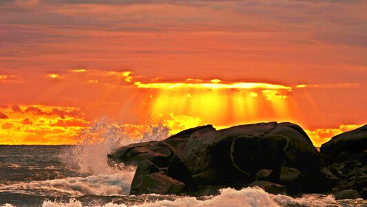 Comb out in the evening glow