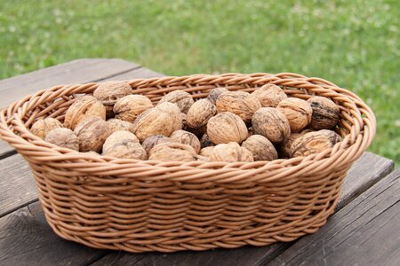 Walnuts brown nuts