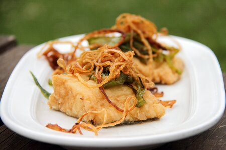 Cuisine dinner plate photo