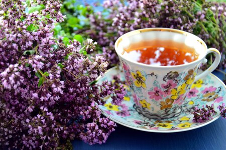 Flower tea mug drink photo