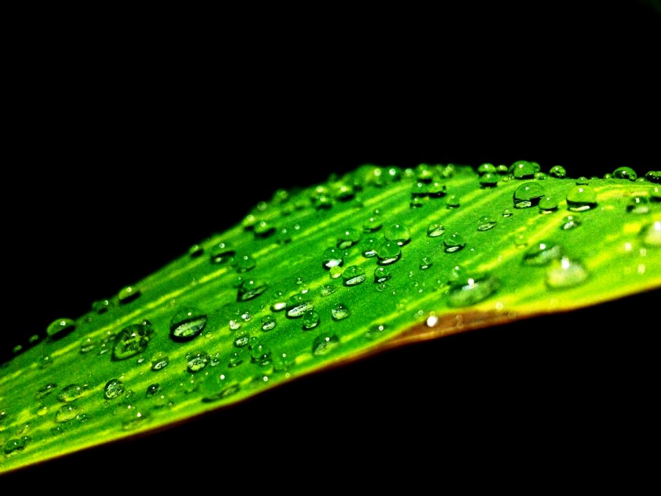 Nature summer sparkle