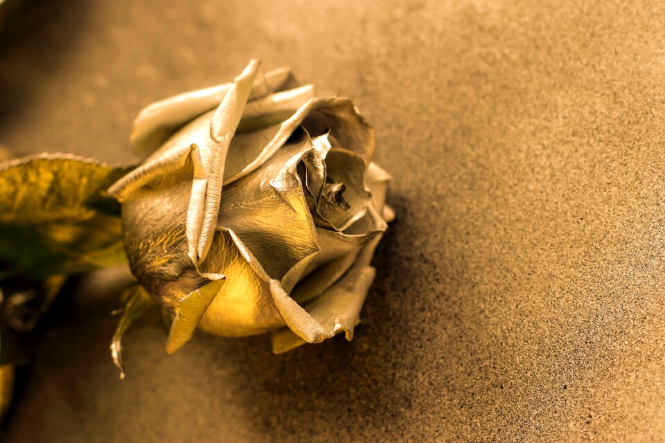 Beautiful card closeup