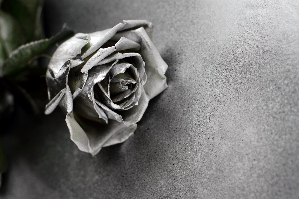 Beautiful card closeup