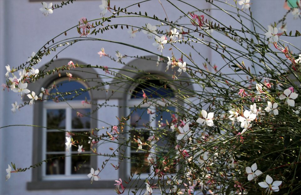 Flowers architecture facade