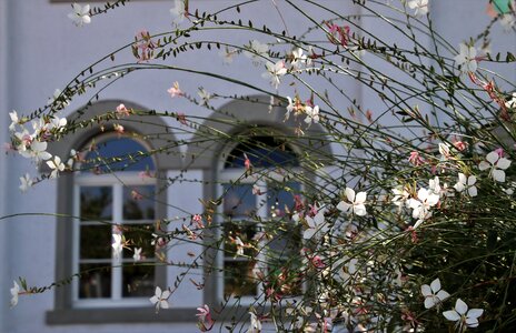 Flowers architecture facade