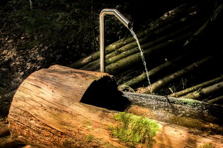 Trough water dispenser water
