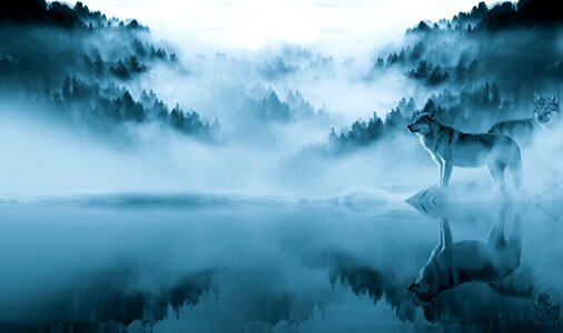 Loneliness inspiration winter