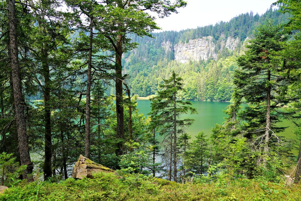 Mountain germany fun