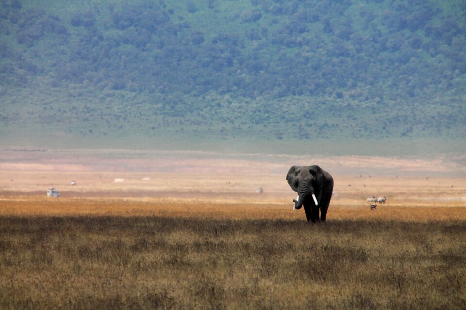 Earth travel tanzania