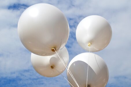 White blue wishes