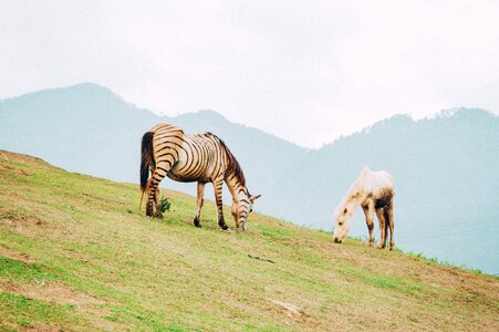 Landscape nature mountains photo