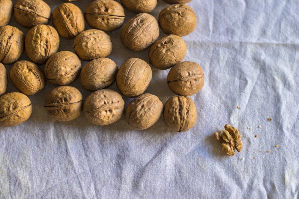 Walnuts shell nuts