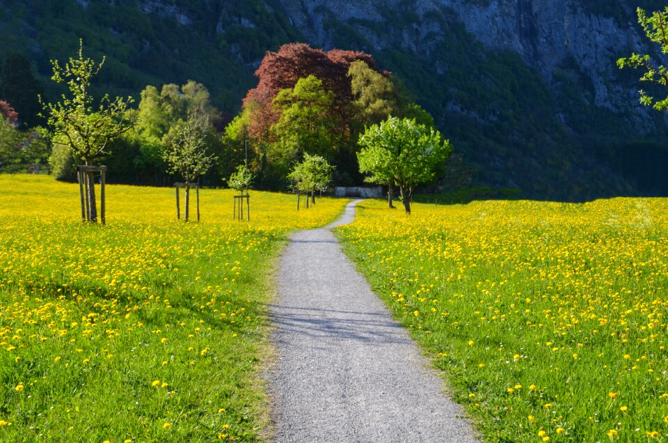 Hiking meadow relaxation