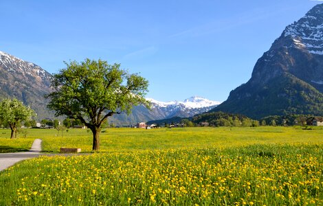Switzerland tourism glarus photo