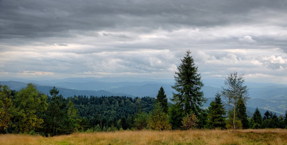 Forest clouds autumn photo