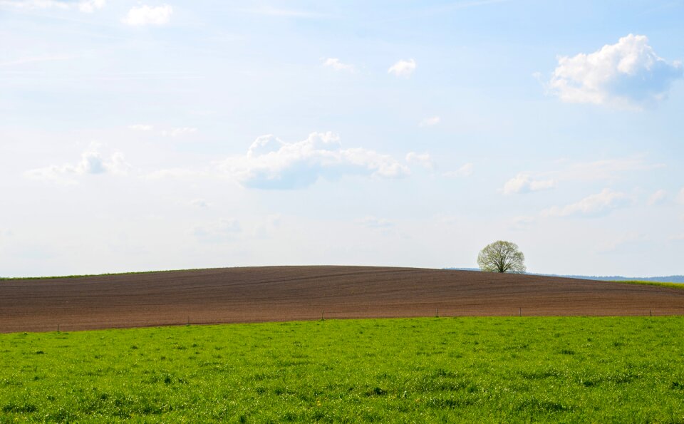 Nature agriculture grass