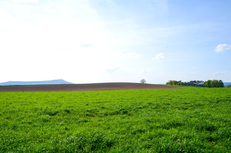 Nature agriculture grass
