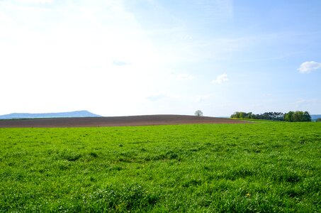 Nature agriculture grass