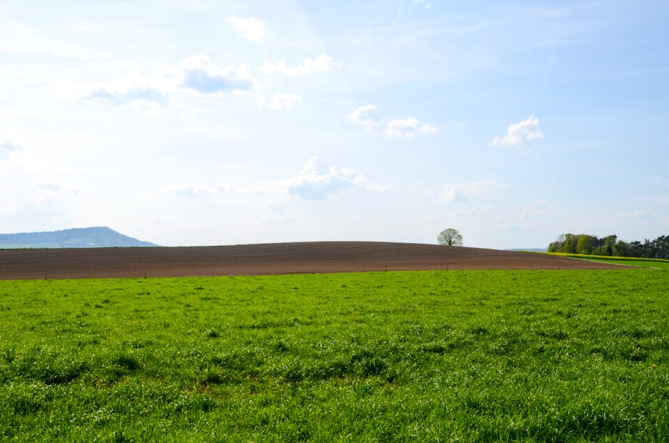 Nature agriculture grass