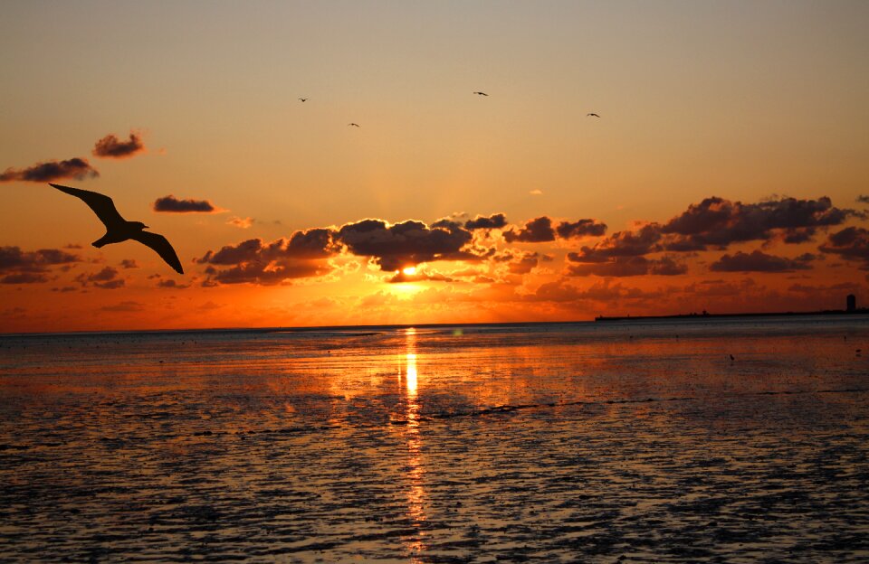 Ebb abendstimmung north sea