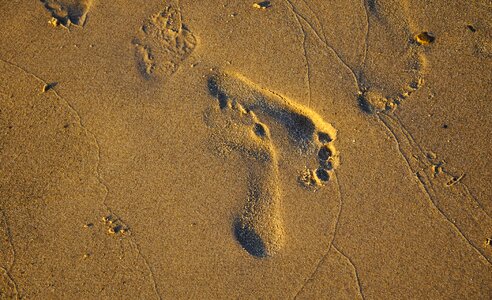 Summer footprint sea