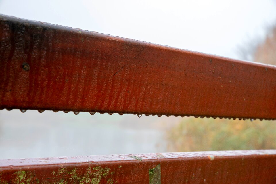 Drops raindrops wood photo