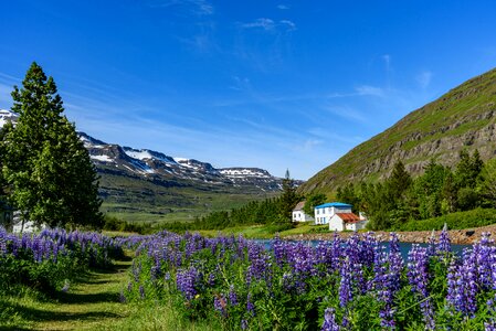 Nature travel house photo