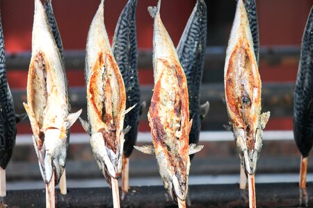 Grill grilled fried