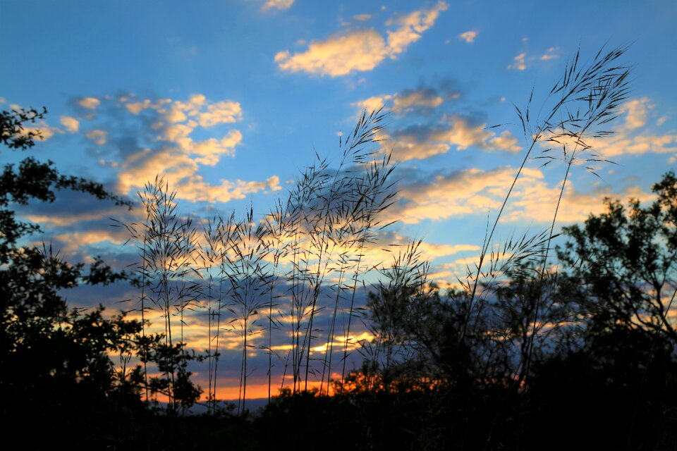 Nature water sky