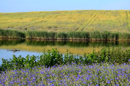 Meadow lake landscape photo