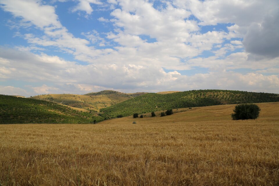 Agriculture harvest nature
