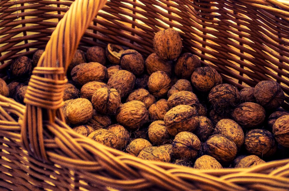 Nuts shopping cart in the fall