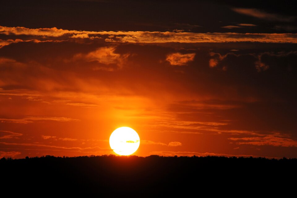 Forest orange solar disk