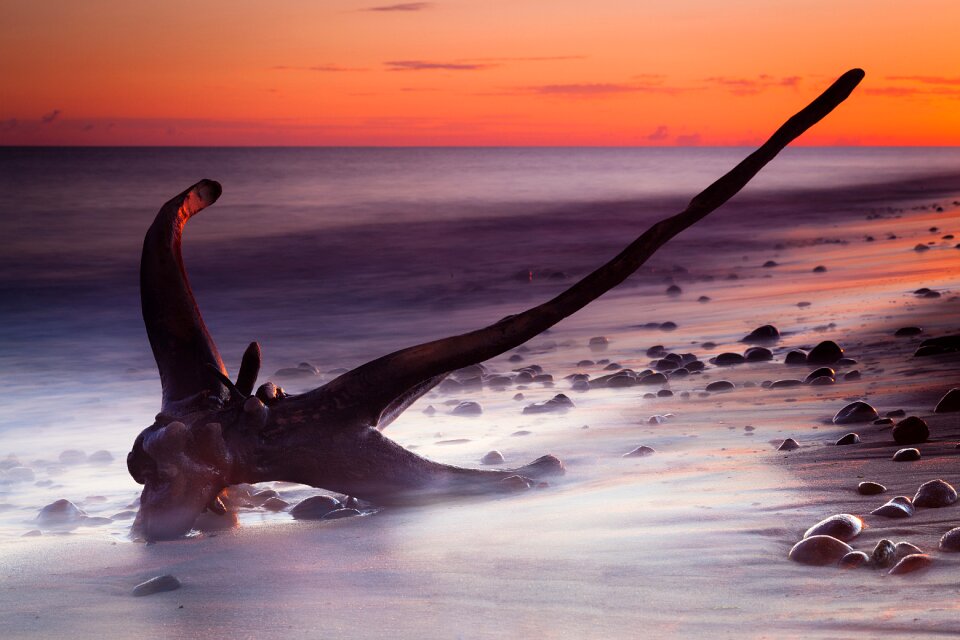 Dawn sea beach